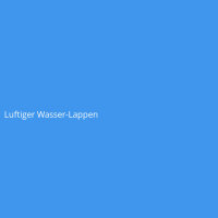 Luftiger Wasser-Lappen