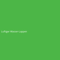 Luftiger Wasser-Lappen